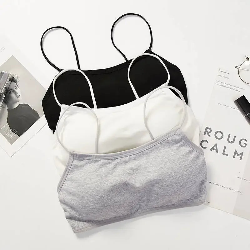Teenage Underwear Young Teens In Lingerie Young Girls Bras and Panties Sets Kids Bra Small Size 12/14/16 Year - FigureVerse